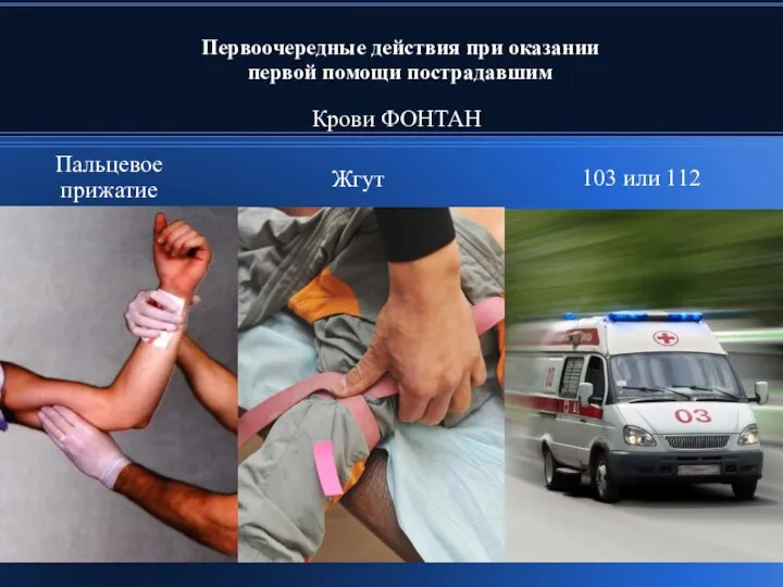 Первоочередные действия при оказании первой помощи пострадавшим Крови ФОНТАН Пальцевое прижатие Жгут 103 или 112