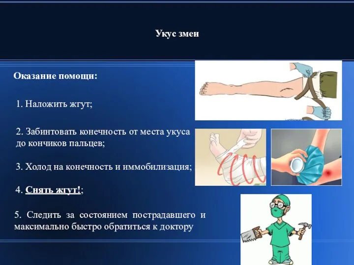 Укус змеи 2. Забинтовать конечность от места укуса до кончиков пальцев;