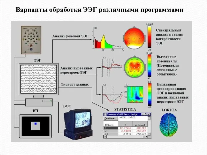 Варианты обработки ЭЭГ различными программами