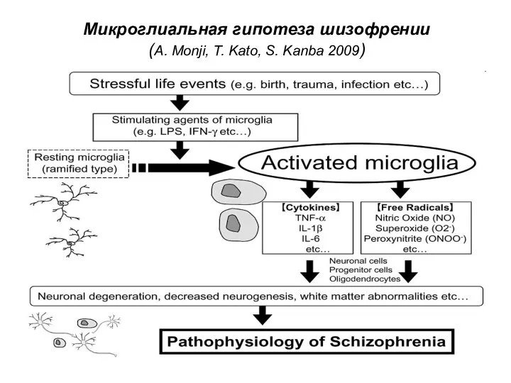 Микроглиальная гипотеза шизофрении (A. Monji, T. Kato, S. Kanba 2009)