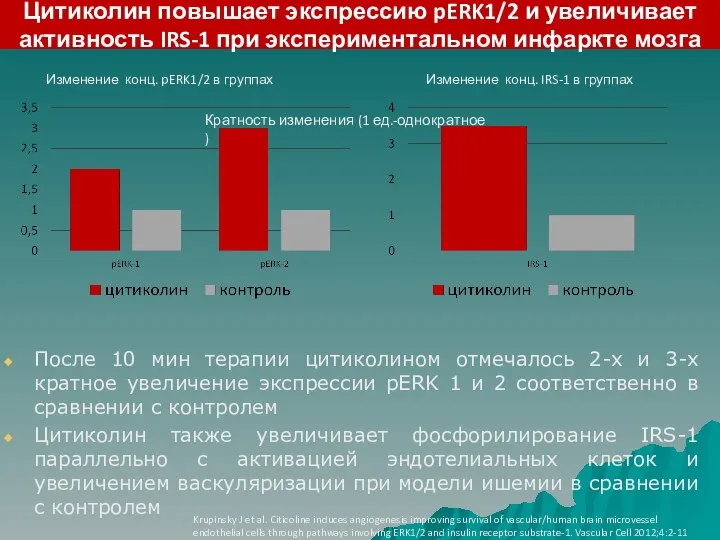 Цитиколин повышает экспрессию pERK1/2 и увеличивает активность IRS-1 при экспериментальном инфаркте