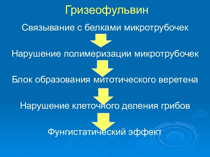 Гризеофульвин Связывание с белками микротрубочек Нарушение полимеризации микротрубочек Блок образования митотического