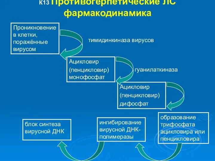 К13 Противогерпетические ЛС фармакодинамика тимидинкиназа вирусов гуанилаткиназа