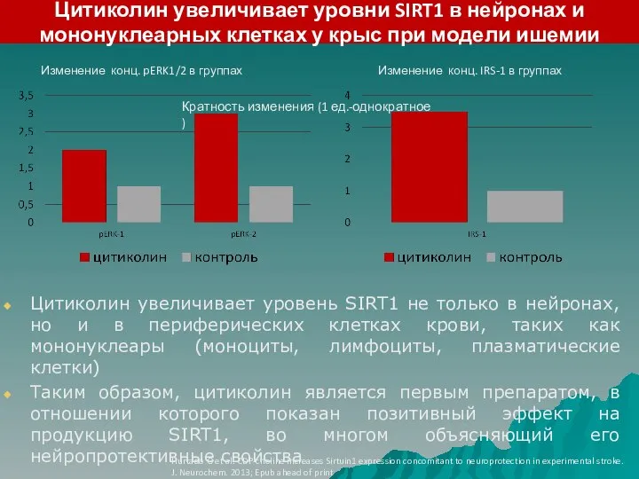 Цитиколин увеличивает уровни SIRT1 в нейронах и мононуклеарных клетках у крыс