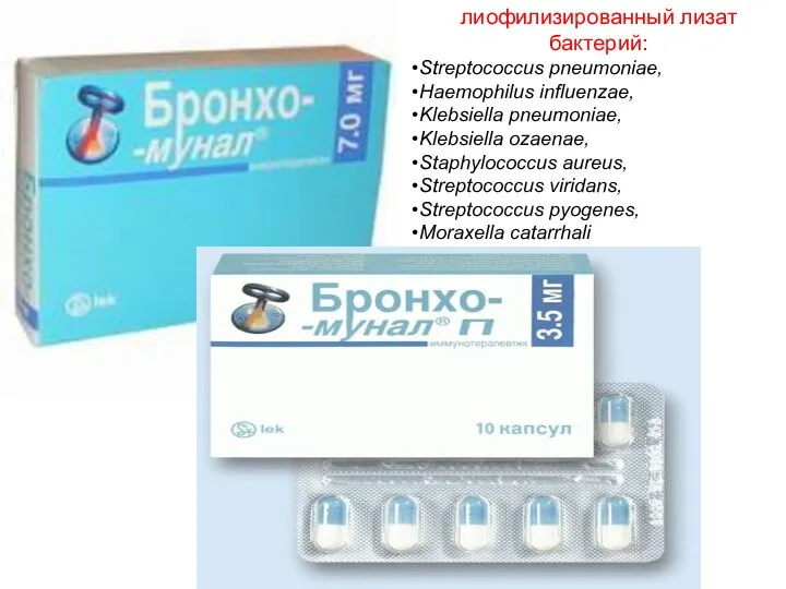 лиофилизированный лизат бактерий: Streptococcus pneumoniae, Haemophilus influenzae, Klebsiella pneumoniae, Klebsiella ozaenae,