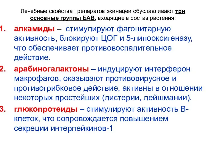 Лечебные свойства препаратов эхинацеи обуславливают три основные группы БАВ, входящие в