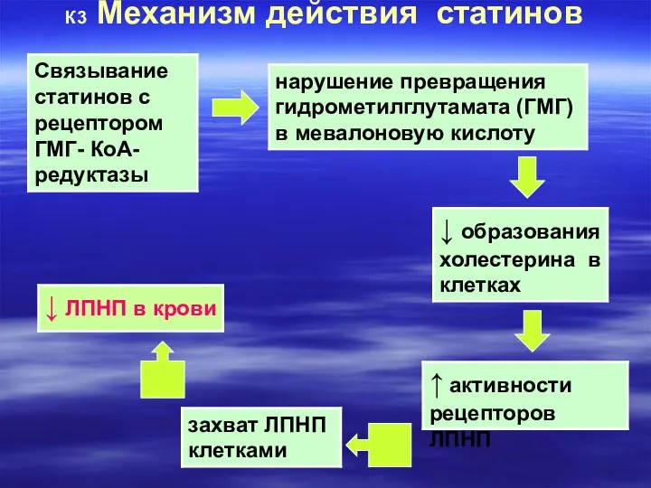 К3 Механизм действия статинов