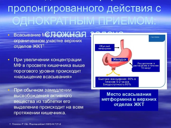 Место всасывания метформина в верхних отделах ЖКТ 1. Timmins P. Clin