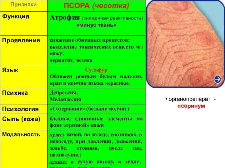 органопрепарат - псоринум