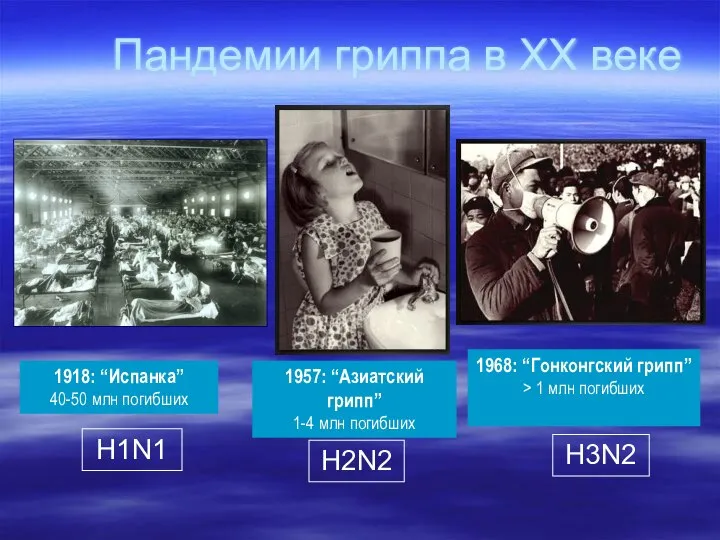 Пандемии гриппа в ХХ веке H1N1 H2N2 H3N2 1918: “Испанка” 40-50