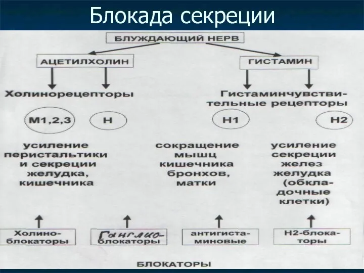 Блокада секреции