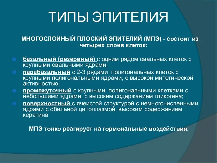 ТИПЫ ЭПИТЕЛИЯ МНОГОСЛОЙНЫЙ ПЛОСКИЙ ЭПИТЕЛИЙ (МПЭ) - состоит из четырех слоев