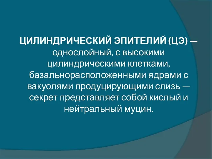 ЦИЛИНДРИЧЕСКИЙ ЭПИТЕЛИЙ (ЦЭ) — однослойный, с высокими цилиндрическими клетками, базальнорасположенными ядрами