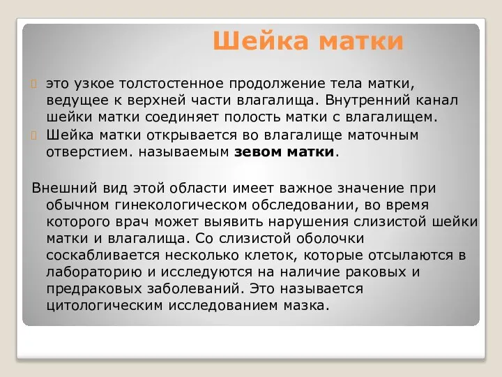 Шейка матки это узкое толстостенное продолжение тела матки, ведущее к верхней