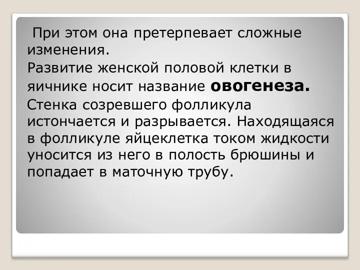 При этом она претерпевает сложные изменения. Развитие женской половой клетки в