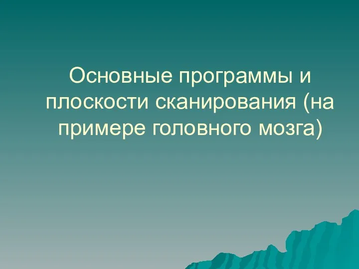 Основные программы и плоскости сканирования (на примере головного мозга)