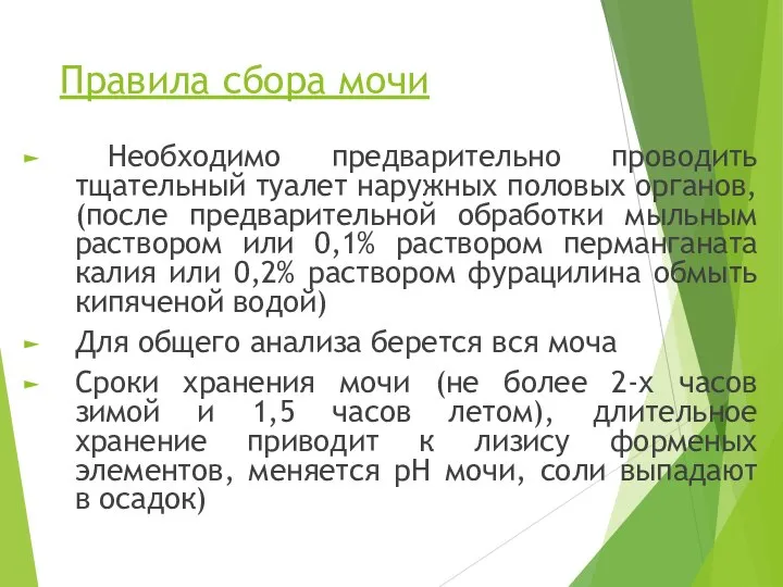 Правила сбора мочи Необходимо предварительно проводить тщательный туалет наружных половых органов,