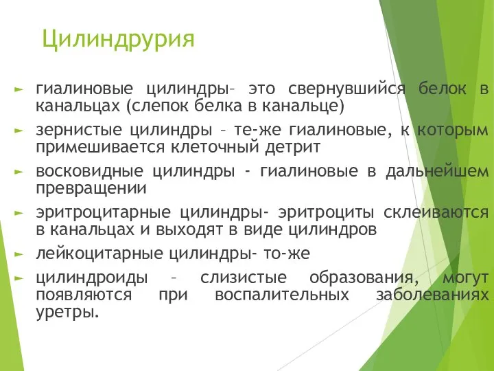 Цилиндрурия гиалиновые цилиндры– это свернувшийся белок в канальцах (слепок белка в