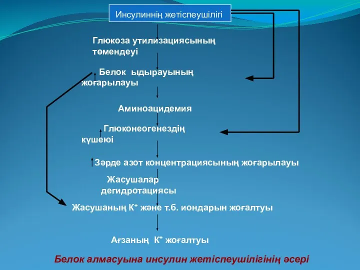 Глюкоза утилизациясының төмендеуі Белок ыдырауының жоғарылауы Аминоацидемия Глюконеогенездің күшеюі Зәрде азот