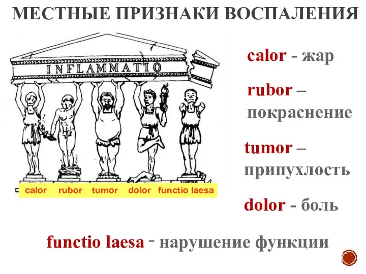 МЕСТНЫЕ ПРИЗНАКИ ВОСПАЛЕНИЯ rubor – покраснение calor - жар tumor –