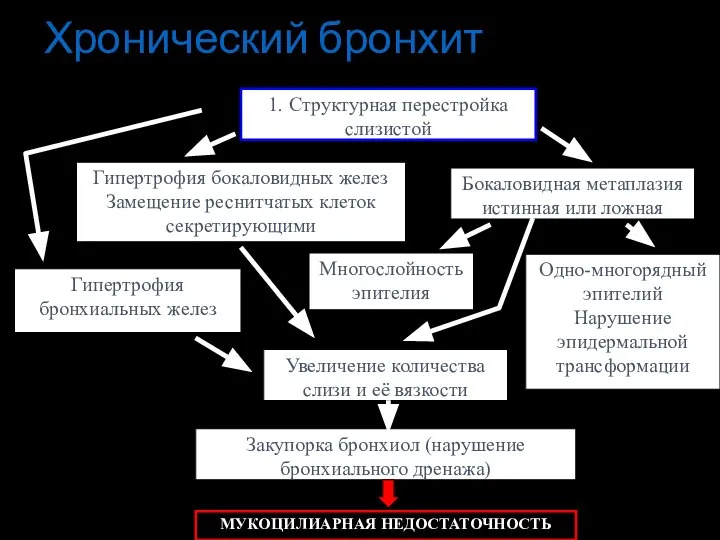 1. Структурная перестройка слизистой Гипертрофия бокаловидных желез Замещение реснитчатых клеток секретирующими