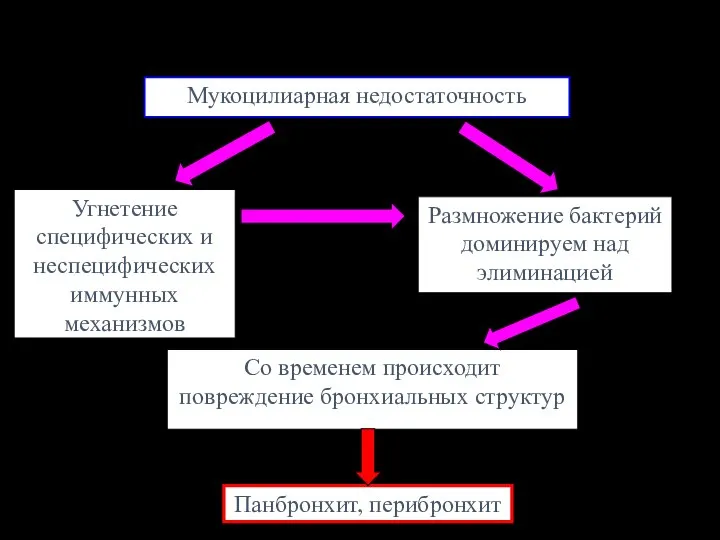 Мукоцилиарная недостаточность Угнетение специфических и неспецифических иммунных механизмов Размножение бактерий доминируем