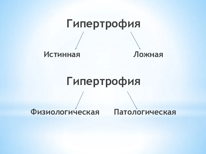 Гипертрофия Истинная Ложная Гипертрофия Физиологическая Патологическая