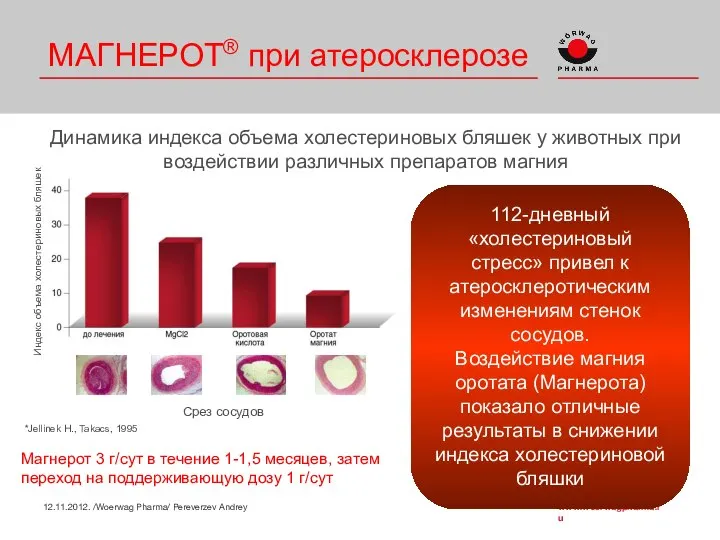 Динамика индекса объема холестериновых бляшек у животных при воздействии различных препаратов