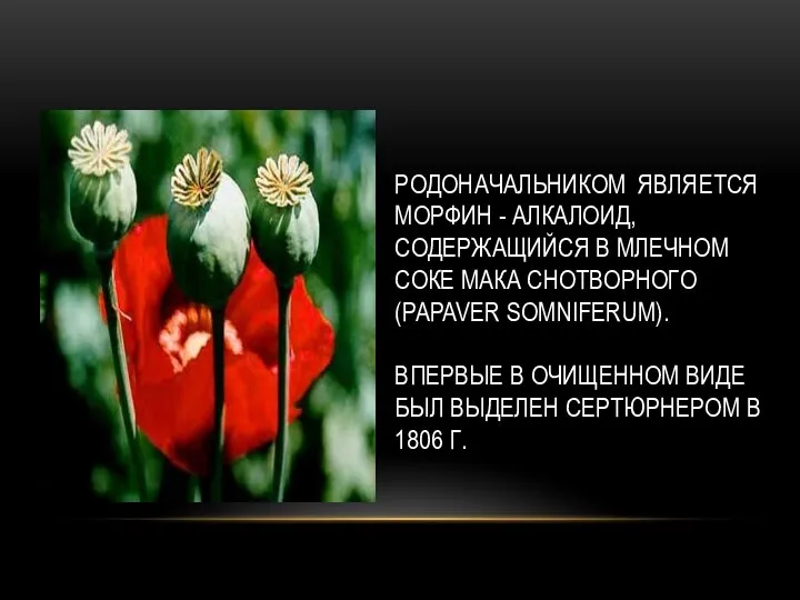 РОДОНАЧАЛЬНИКОМ ЯВЛЯЕТСЯ МОРФИН - АЛКАЛОИД, СОДЕРЖАЩИЙСЯ В МЛЕЧНОМ СОКЕ МАКА СНОТВОРНОГО