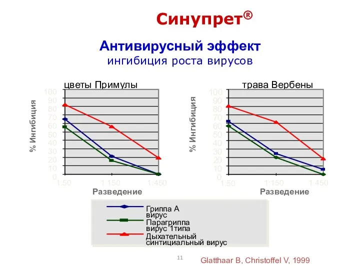 1:150 Синупрет® Антивирусный эффект ингибиция роста вирусов Glatthaar B, Christoffel V, 1999