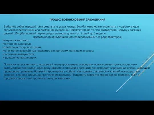 ПРОЦЕСС ВОЗНИКНОВЕНИЯ ЗАБОЛЕВАНИЯ Бабезиоз собак передаётся в результате укуса клеща. Эта