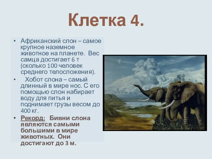 Клетка 4. Африканский слон – самое крупное наземное животное на планете.