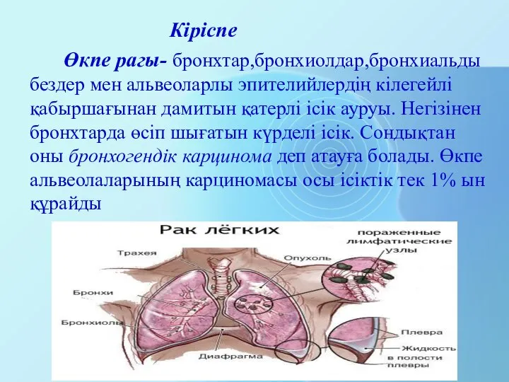 Кіріспе Өкпе рагы- бронхтар,бронхиолдар,бронхиальды бездер мен альвеоларлы эпителийлердің кілегейлі қабыршағынан дамитын