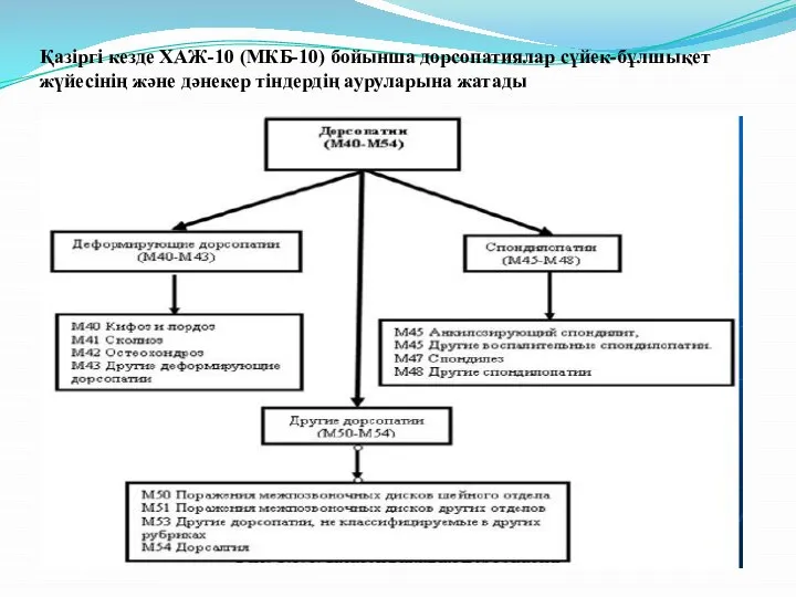 Қазіргі кезде ХАЖ-10 (МКБ-10) бойынша дорсопатиялар сүйек-бұлшықет жүйесінің және дәнекер тіндердің ауруларына жатады