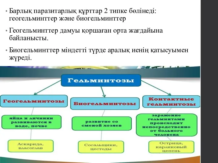 Барлық паразитарлық құрттар 2 типке бөлінеді: геогельминттер және биогельминттер Геогельминттер дамуы