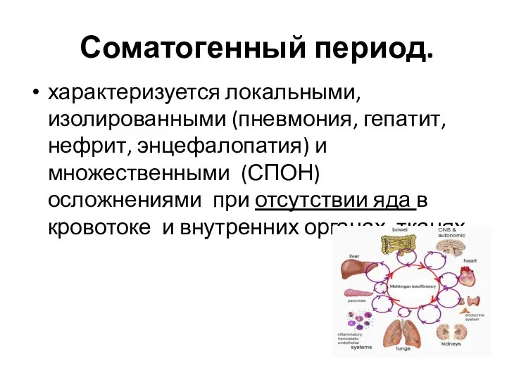 Соматогенный период. характеризуется локальными, изолированными (пневмония, гепатит, нефрит, энцефалопатия) и множественными