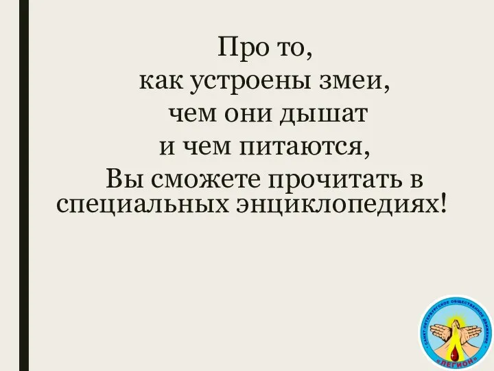 Про то, как устроены змеи, чем они дышат и чем питаются,