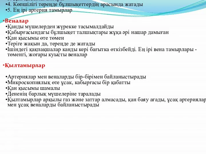 Артериялар 1. Қанды жүректен алып шығып, мүшелерге таратады 2. Қабырғасындағы бұлшықет