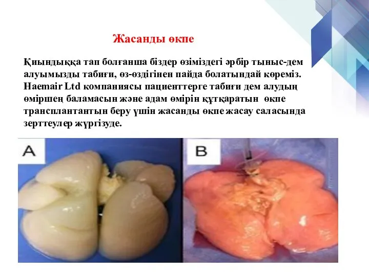 Қиындыққа тап болғанша біздер өзіміздегі әрбір тыныс-дем алуымызды табиғи, өз-өздігінен пайда