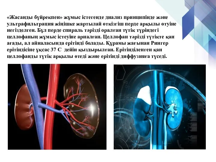 «Жасанды бүйрекпен» жұмыс істегенде диализ принципінде және ультрафильтрация жіңішке жартылай өткізгіш