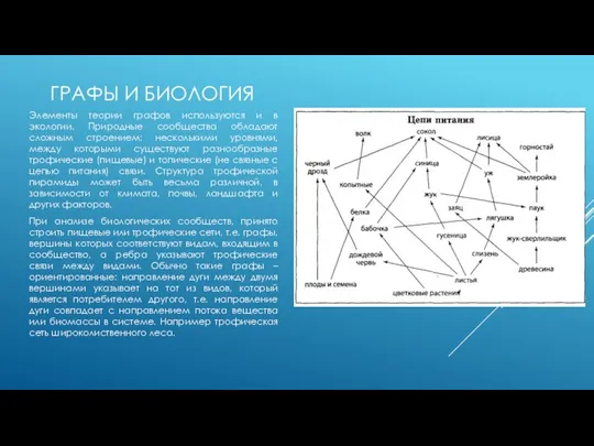 ГРАФЫ И БИОЛОГИЯ Элементы теории графов используются и в экологии. Природные