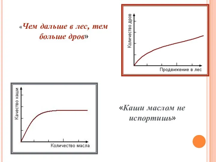 «Каши маслом не испортишь» «Чем дальше в лес, тем больше дров»