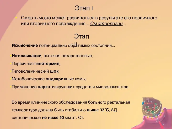 Этап I Смерть мозга может развиваться в результате его первичного или