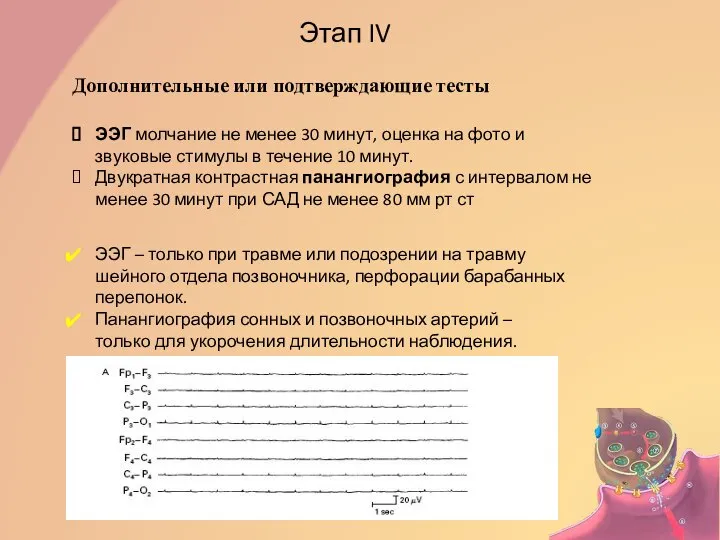 Дополнительные или подтверждающие тесты Этап IV ЭЭГ молчание не менее 30