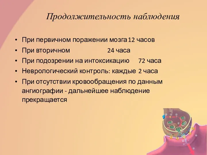 Продолжительность наблюдения При первичном поражении мозга 12 часов При вторичном 24