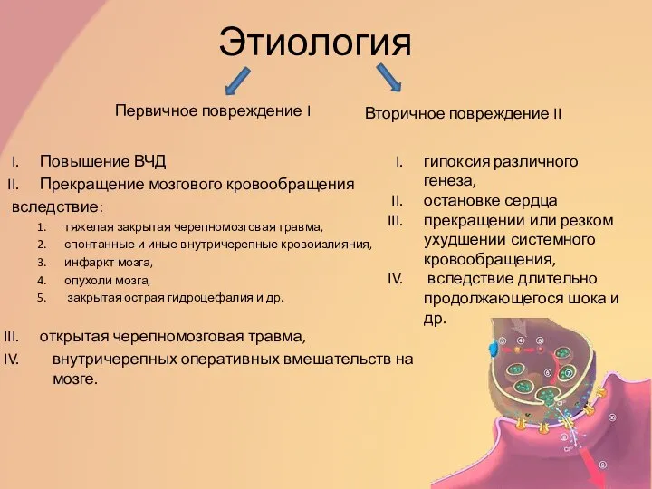 Этиология Повышение ВЧД Прекращение мозгового кровообращения вследствие: тяжелая закрытая черепномозговая травма,