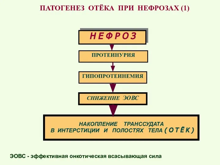 ЭОВС - эффективная онкотическая всасывающая сила