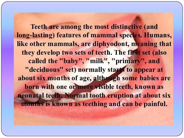 Teeth are among the most distinctive (and long-lasting) features of mammal