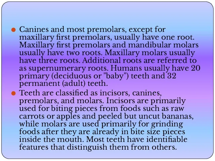 Canines and most premolars, except for maxillary first premolars, usually have