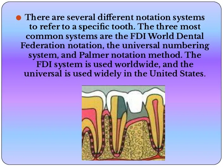 There are several different notation systems to refer to a specific